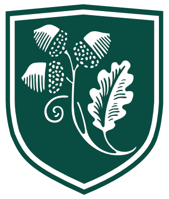 Logo Dual Diploma